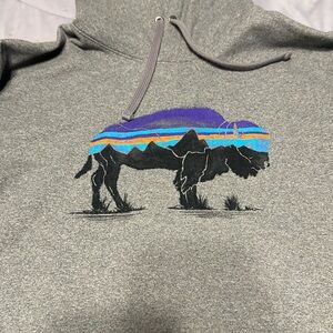 Like new! Patagonia hoodie. Size L